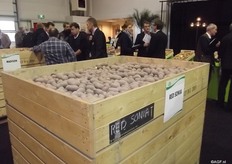 Red Sonia is one of the new varieties that was presented. It’s a red peel variety with a higher number of potatoes than other red peel varieties.