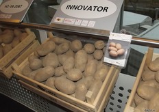 Every floor was a different sector, starting with Processing. Innovator is a well-known variety for the chip industry. In this sector there are a lot of strict requirements for a variety. The varieties have to meet them to supply a certain quality. Challenger is also a well-accepted variety, but is also good for making chips at home with. This gives you a multi-purpose variety. Or Taurus, which is a real crisps variety due to the spud’s round shape