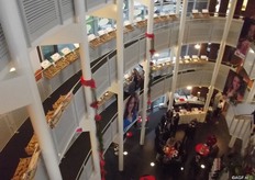 Gerard Backx says there is always space for new varieties and improvement. Not necessarily due to the demand from the market, but for the flavour and presentation. The speed in which the new varieties are made is increasing because of the current breeding techniques. But a new variety is only a good variety once it has proven itself.