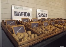 New this year at the variety shows is the French company Germicopa which opened the doors for those interested and relations, together with the Dutch companies ATF and Hapotex.