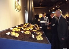 The trend being followed by C.Meijer is “Use what you produce” and they firmly believe in it. This means that they are looking for more efficient varieties of which everything that is produced can be used. There is room for constant improvement to then achieve stable varieties. Growers are getting more and more alternatives.