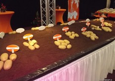 Ernst thinks the variety assortment is becoming diverse. Everyone wants something different and consumers are trying more. There is more demand for special varieties. For the future, he expects us to be busy with sustainable and tolerant varieties. The potato market is still doing well so this can be worked towards.