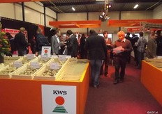 According to Ernst the trend is mainly for baby potatoes, such as the new potatoes and small packaged potatoes. There is an emergence of convenience products, such as the ease of a few minutes in the microwave and ready to eat.