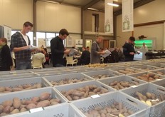 Jacob Eising concludes that he is busy making a guide for potato growers. This was promoted during these days. We can expect from Den Hartigh that they bring out varieties which make money for everyone. Reliable varieties based on the qualities of the consumer and the costs for the growers.