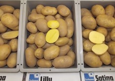 Jacob describes the potato market as conservative. To make a brand big you need a lot of marketing. Some of the examples he names are the Opperdoezer ronde, Bintjes or Nicola. It won’t be easy to break such secure varieties. As a company you need to make concepts big, but this takes some investing.