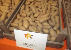 Jos Bus believes the markets of crumbly potatoes and solid cooking potatoes are close. The younger generation is perhaps more inclined towards the Nicola. Exquisa, table potato which can be put against the Charlotte as a delicacy potato.