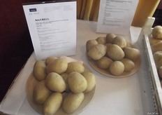 The processing industry is already seen as the largest market. A. de Nijs also has a number of varieties to try here. Sofie, for instance, is a new crisp variety, or the Maybell which is suitable for chips. Michel expects there to be more varieties which are multi-applicable in the future. Strong varieties which can resist heavy weather conditions. And the early potatoes will be worked towards.