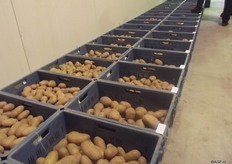 “Growing is the art of throwing away” are the words of Lammert Buwalda.