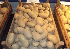 Miss Malina is the new variety with a high resistance (ABCDFG). They are constantly looking for improvement and change for the varieties. They look at the turnover of the factory, the baking quality and spud length.