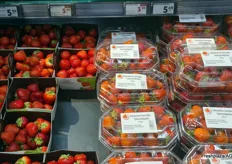 Finnish and Cooperatie Hoogstraten strawberries side by side.