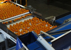 The equipment came in multiple shipping containers and accompanied by a technician from Reemoon.