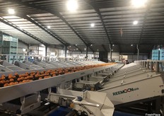 Clear Lake Citrus is based on Lake Wyangan, Griffith in the New South Wales Riverina, and it started using the Fruscan S7 Pro this season.