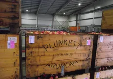 Plunkett Orchards supplies premium quality fresh apples, pears and stonefruits around the world.