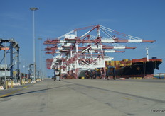 The Port of Barcelona has seen recent expansion and more is planned. In 2011 the moved 100,000 tonnes of product in reefers, that has now increased to 400,000 tonnes. Meat, Fish, Fruit and vegetables are the main products moved.