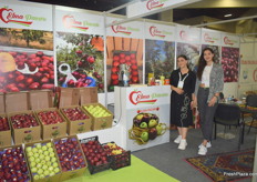 Tuzkan and Ozgun representing Elma Pazau. The Turkish apples exporters ships their produce to Libya, Egypt, Russia, Hungary and Ukraine mostly.