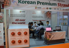 A busy K-Berry corporation with Korean strawberries.