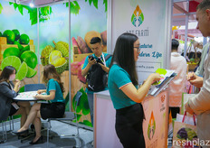 Negotiations at Vietnamese export company And Farm Co., Ltd.