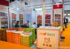 SinoFruits suppliers fruits and vegetables from China to Southeast Asia. The company wants to expand its business in Japan and Europe. A key product are its citrus fruits.