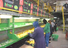 The workers manually pack the cartons