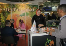 Business Meetings at Sadat Global from Egypt. 