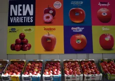 New club apple varieties keep expanding at Melinda.
