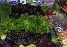 New collection of luxury lettuce from Babe Farms. The company is going into the holiday season strong with lots of new product.