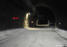Storing apples at a depth of 300 meters in mining complex: the Melinda Consortium bet on it 6 years ago and now continues with this policy of environmental respect and energy saving with the construction of the fourth storage parcel. An investment of about 7 million euro which will bring the total capacity to 40,000 tons.Let's begin a journey into the heart of the mountain, in Val di Non (photoreport by Cristiano Riciputi)