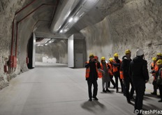 The environment is dry and without dust