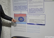 The rock has a constant temperature of 10 °C