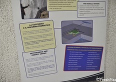 Details of the descriptive panels