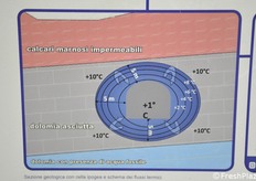 Details of the descriptive panels