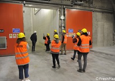 Entrance of a storage cell