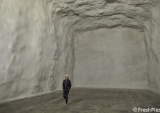 The proportion. The storage rooms are about 11 meters high