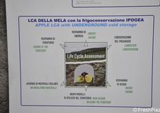 Details of the descriptive panels