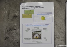 Details of the descriptive panels