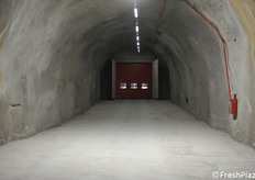 One of the tunnels