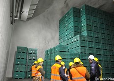 The concentrations of oxygen and carbon dioxide are kept under constant control