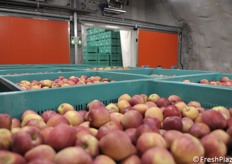 Bins removed from the storage room and ready to be taken to the factory for processing