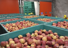 Bins removed from the storage room and ready to be taken to the factory for processing