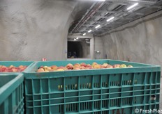 Bins removed from the storage room and ready to be taken to the factory for processing