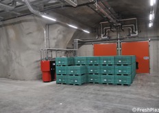 Bins removed from the storage room and ready to be taken to the factory for processing