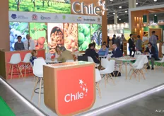 Chile's promotional stand.