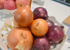 Great looking onions from Uniseed (Gansu) Co. Lily. The company is also an onion producer and grows around 10,000 tons of red and yellow onions.