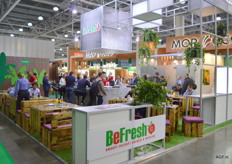 BeFresh, from Israel, has an export program for, for example, peppers, tomatoes, carrots, potatoes, radish, celery, citrus fruits, avocados, pomegranates, etc. The company produces and exports.