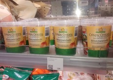 Fried onions from TOP Onions.