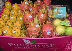 Dragon fruit display in the booth of Freshway Produce.