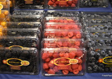 A selection of Sun Belle premium blackberries, raspberries, and blueberries on display in the Frutura booth.