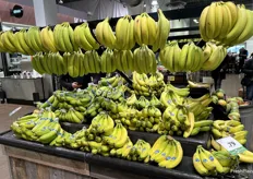 Bananas sit high and low to make an interesting display.