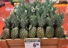 Large Costa Rican pineapples fill the bin.