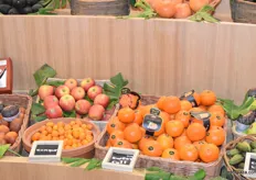 Sweetcott, the new mandarin variety unveiled at Fruit Logistica 2024, makes its first appearance at SIAM.